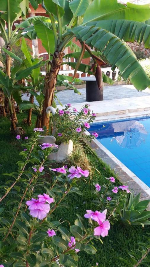 Apartamento Flats Leninha Abreu Olímpia